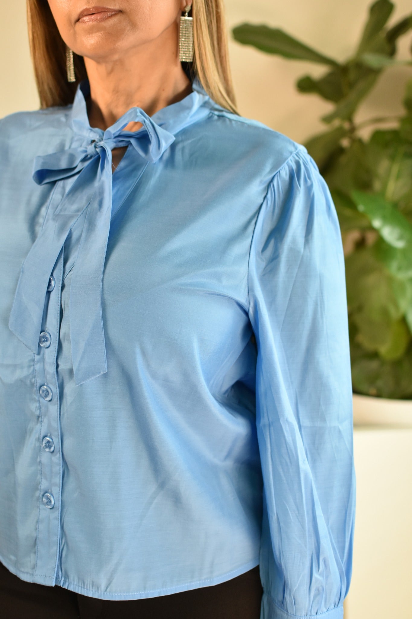 Blue Button Up Blouse